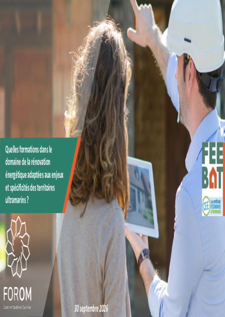 FEEBAT : Les formations à la rénovation énergétique en Outre-mer