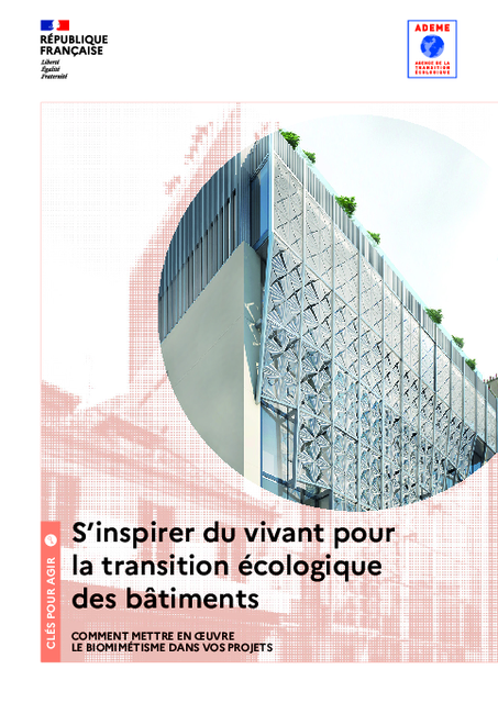 S’inspirer du vivant pour la transition écologique des bâtiments