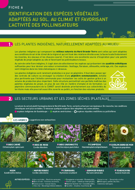Identification des espèces végétales Adaptées au sol, au climat et favorisant L’activité des pollinisateurs