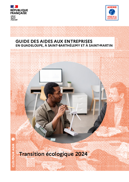 Guide 2024 des aides aux entreprises pour la transition écologique en Guadeloupe, à Saint-Barthélemy et à Saint-Martin