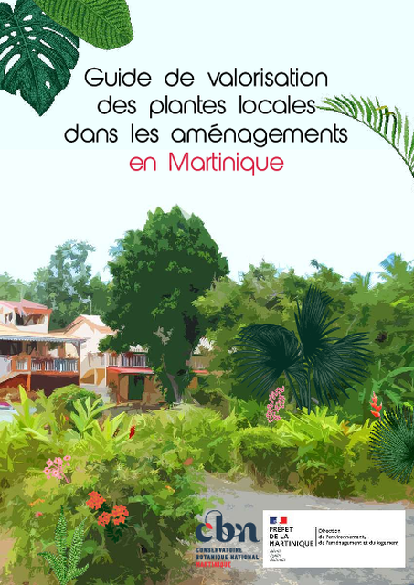 Guide de valorisation des plantes locales dans les aménagements en Martinique