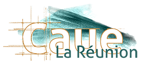 Logo - CAUE DE LA REUNION